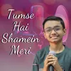 About Tumse Hai Shamein Meri Song